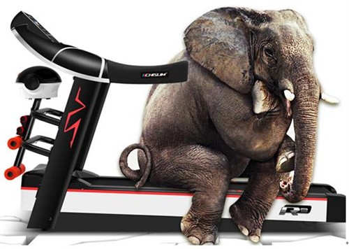 家用跑步机质量排名 启迈斯和亿健舒华跑步机