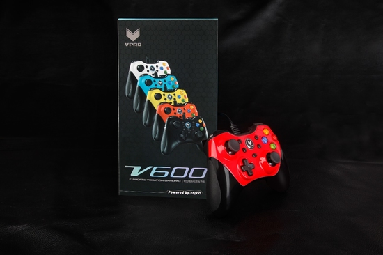 龙之信条:黑暗崛起-雷柏V600手柄角色扮演类游