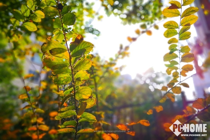 是手机摄影,更是光和影的艺术-HUAWEI Mate1