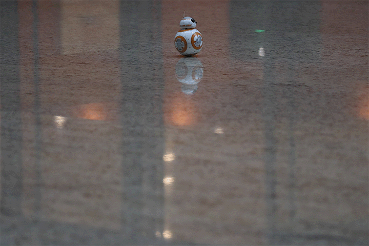 77d追焦连拍(伺服自动对焦约4.5张/秒)