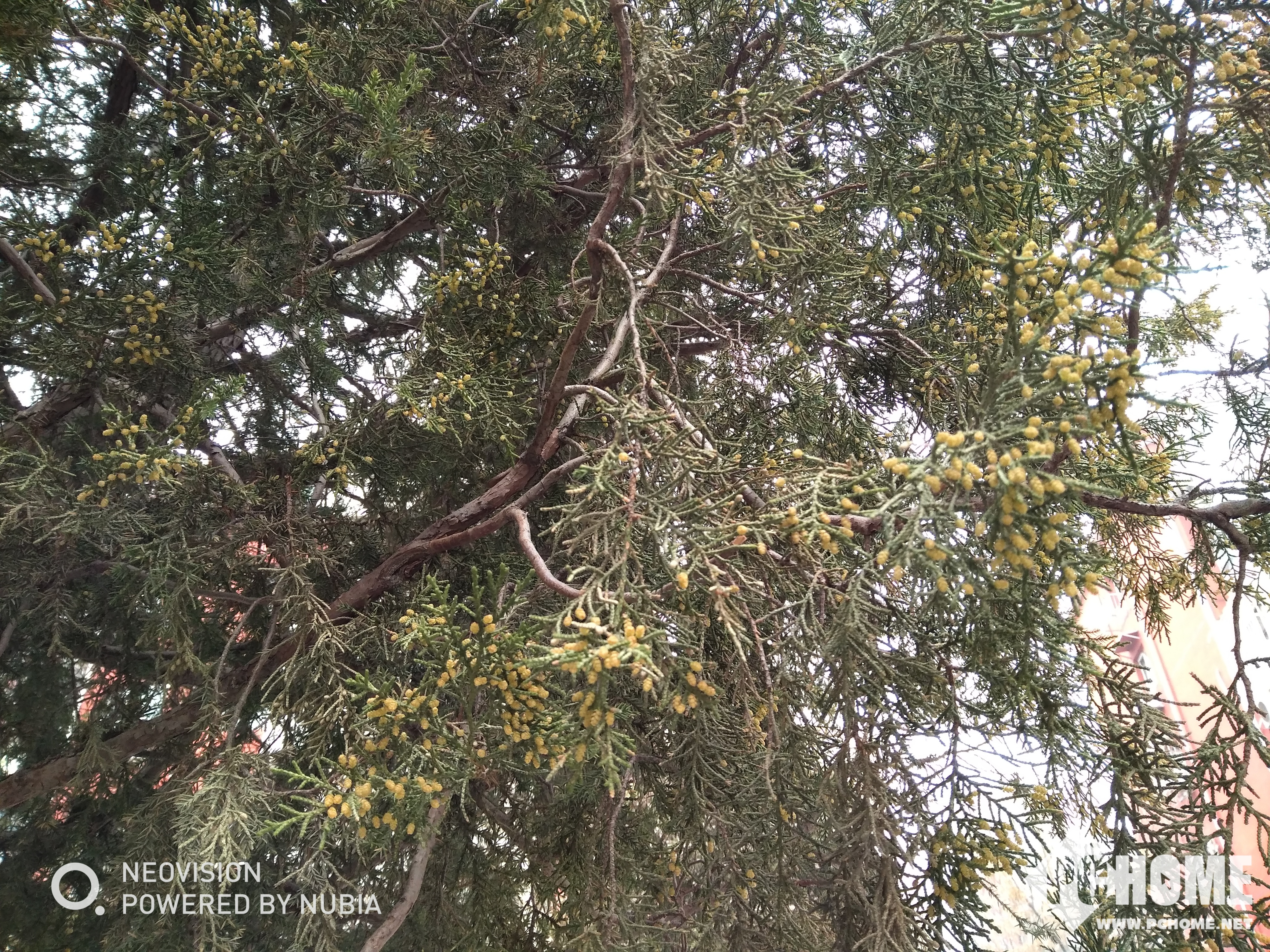 IMG_20180327_135505.jpg IMG_20180327_135505.jpg