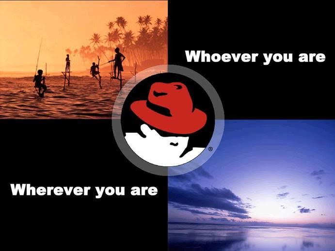 .jpg