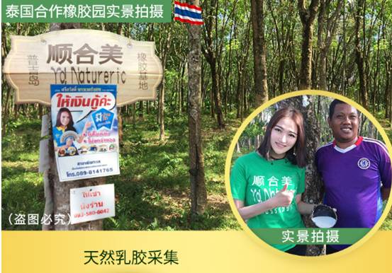 吐槽顺合美天然乳胶床垫怎么样_为什么好，质量评测曝光 电商资讯 第3张