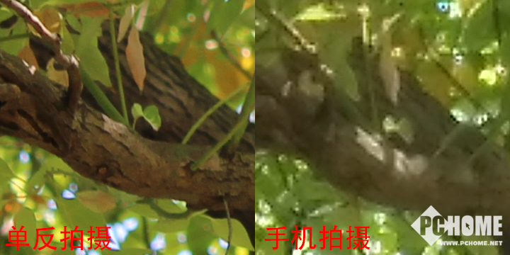长焦端对比.jpg