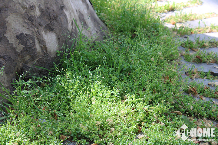 IMG_9996.jpg