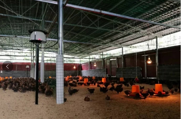 众安科技打造智能数据引擎 全景式展现前沿科