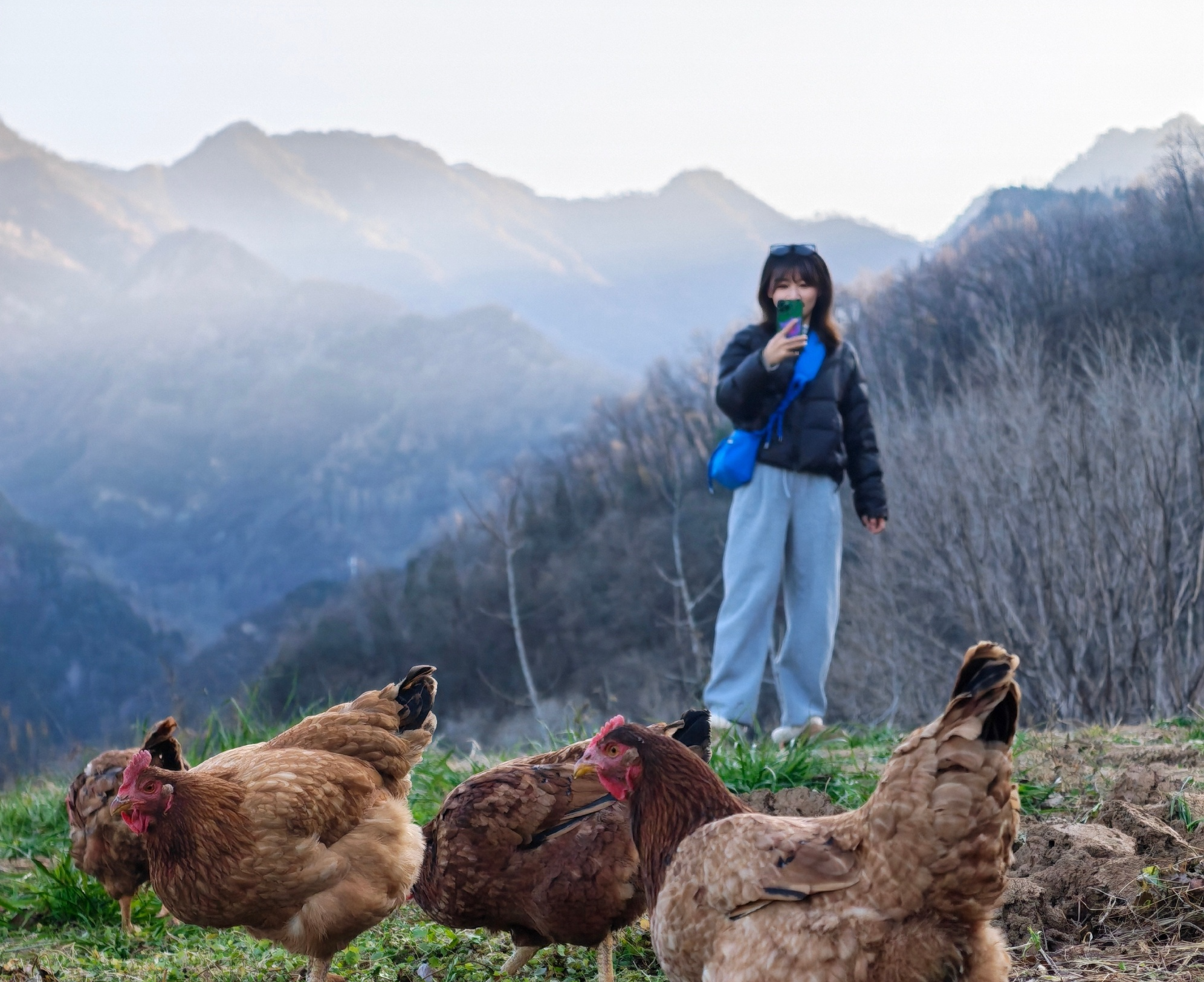 Magic7影像为何更新较慢？荣耀影像系统专家回应