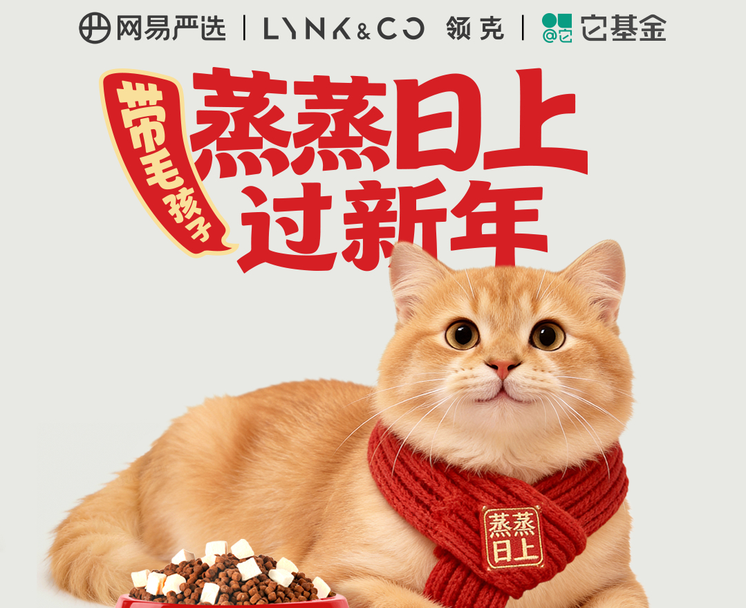 领克联合网易严选、它基金开启流浪动物捐助计划：覆盖全国机构