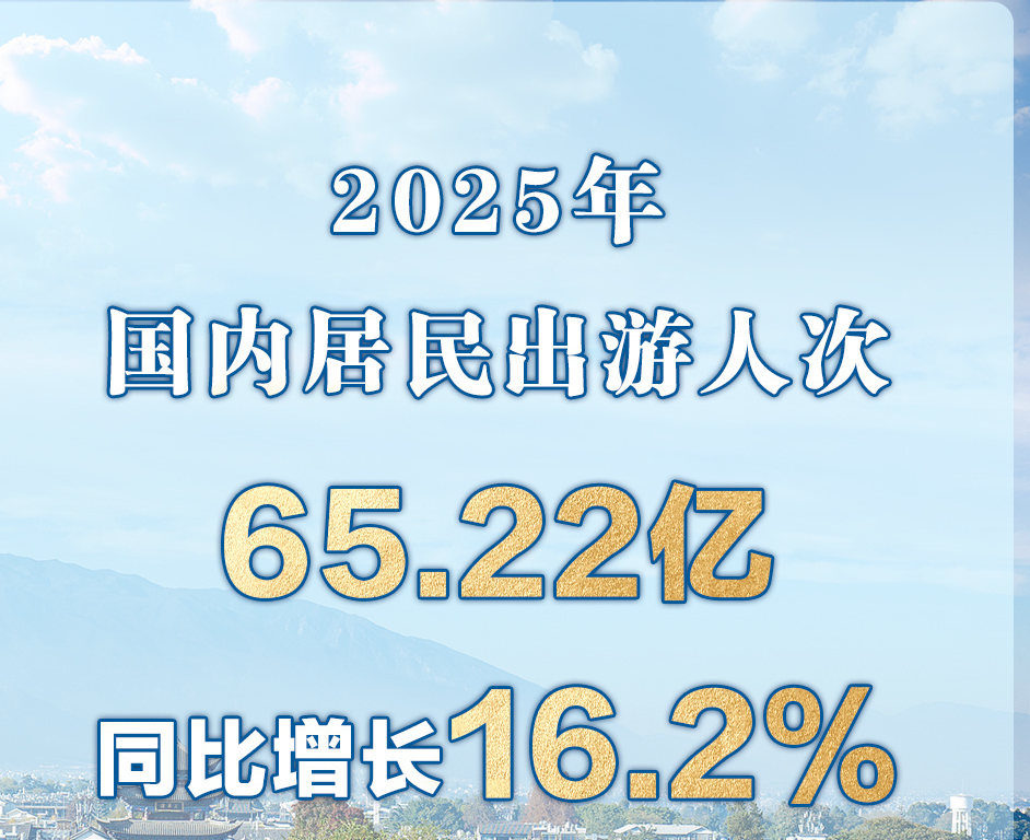 2025国内居民出游人次达65.22亿，累计消费6.30万亿元