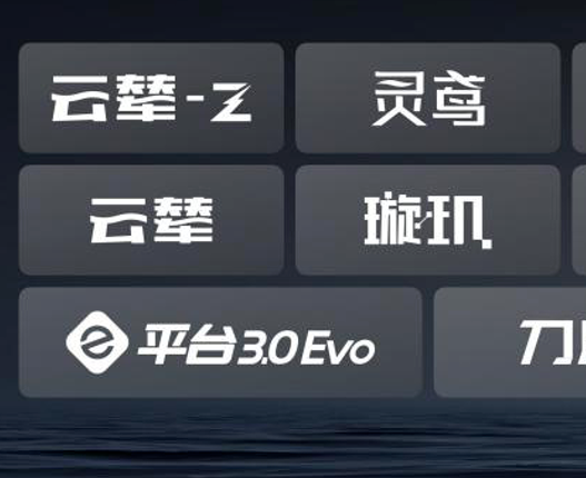 2025车企复购率榜单出炉：比亚迪车主复购率30.55%位居第一