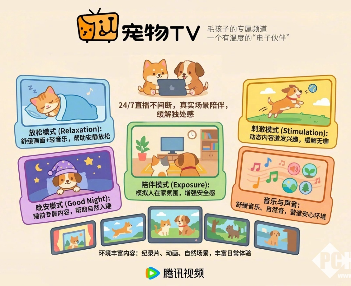 腾讯视频上线宠物TV频道，专为猫狗定制视听内容