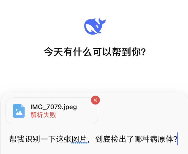 DeepSeek服务突发大规模宕机，故障超12小时，现已修复