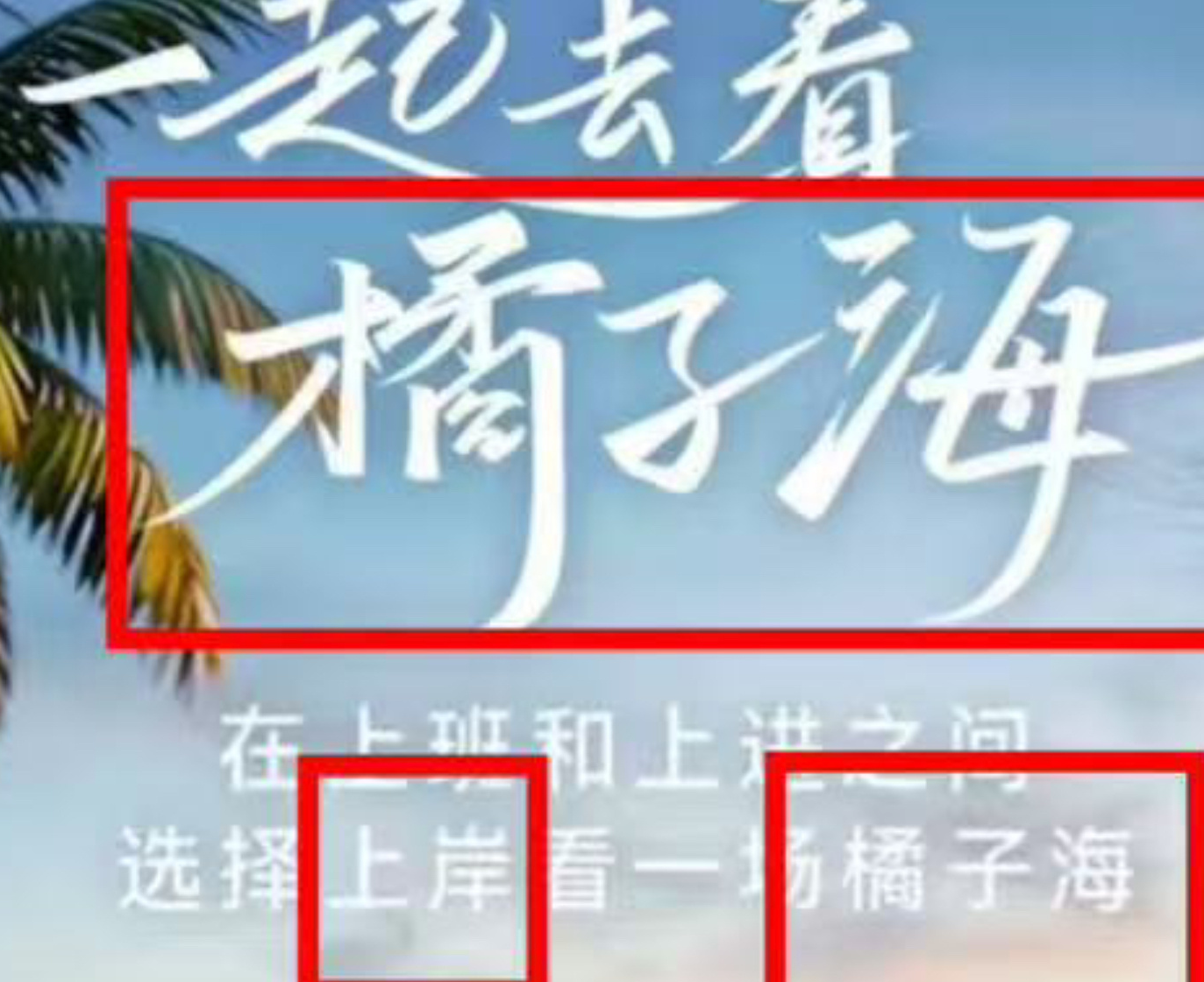 华为Pura 90“橘子海”配色引发争议，乐队方发声明称未经授权