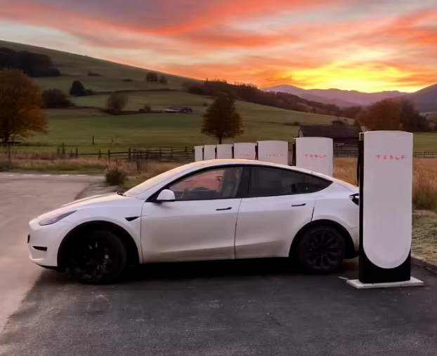 特斯拉连续四年获标普全球汽车用户忠诚度大奖，车主复购意愿增长