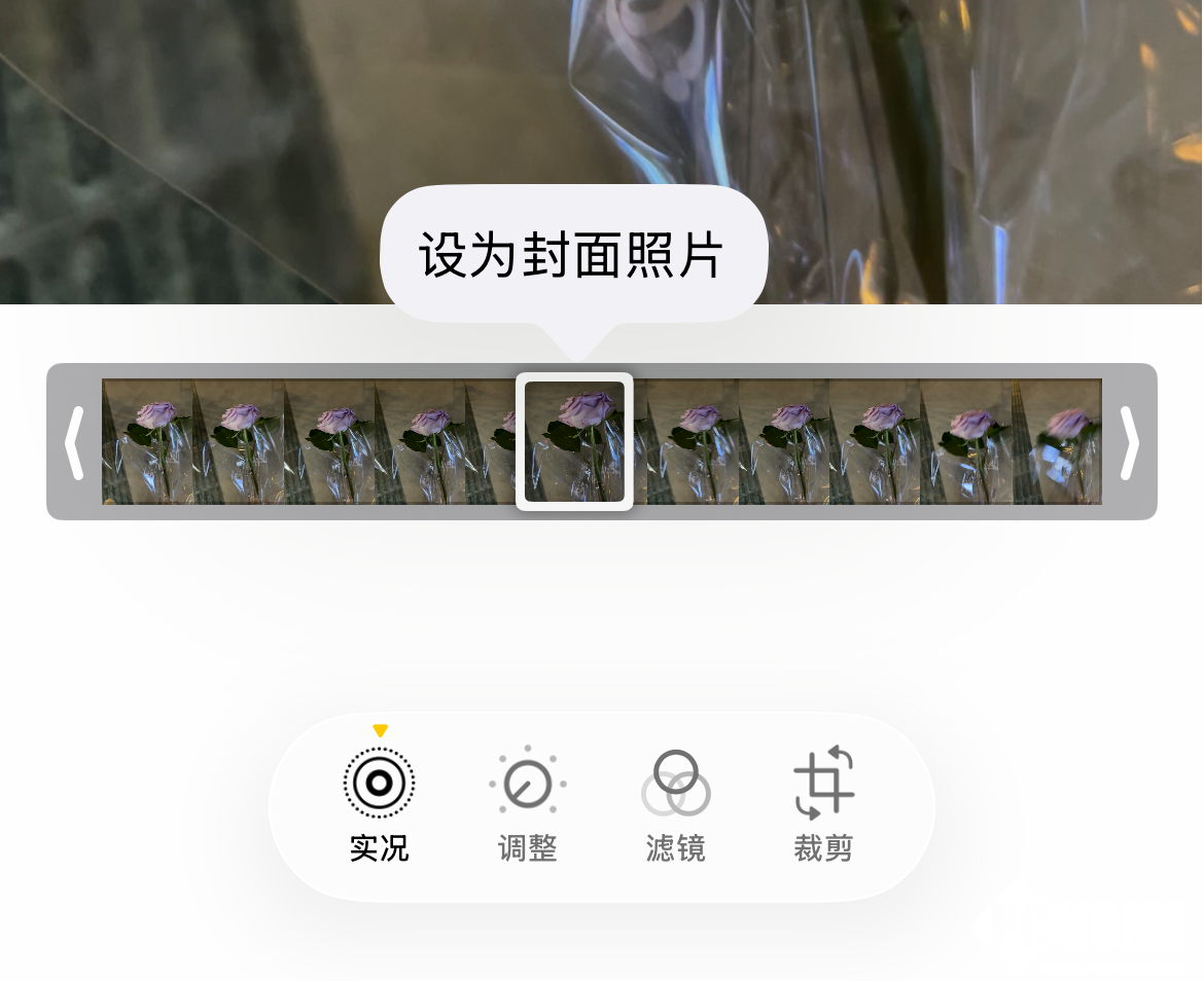 苹果实况图精准选丑上热搜，客服称封面由算法判定